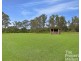1124 Dooralong Road, Dooralong NSW 2259