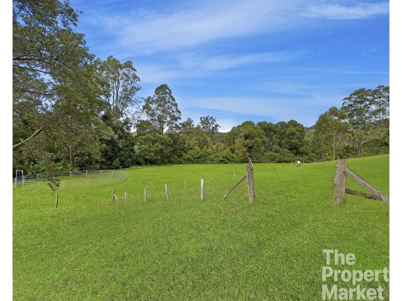 1124 Dooralong Road, Dooralong NSW 2259