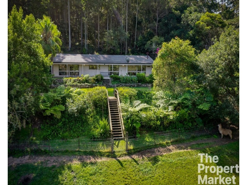 12 Lorikeet Lane, Fountaindale NSW 2258