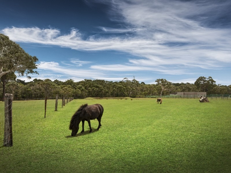 60 Webber Road, Wyee NSW 2259