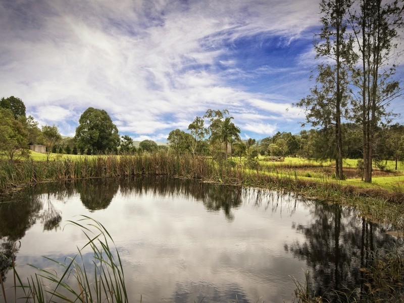 1061 Dooralong Road, Dooralong NSW 2259