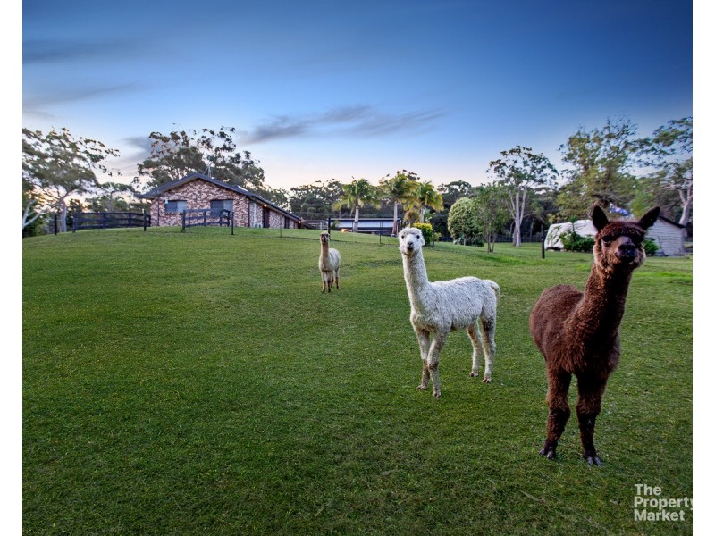 13 Larapinta Drive, Wyee Point NSW 2259