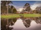 1410 Dooralong Road, Dooralong NSW 2259