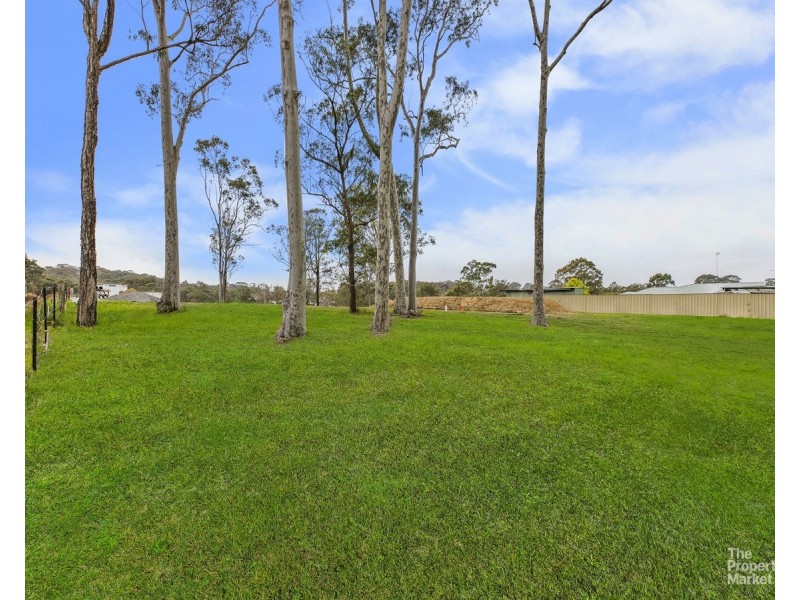 Lot 103 Celestial Drive, Warnervale NSW 2259