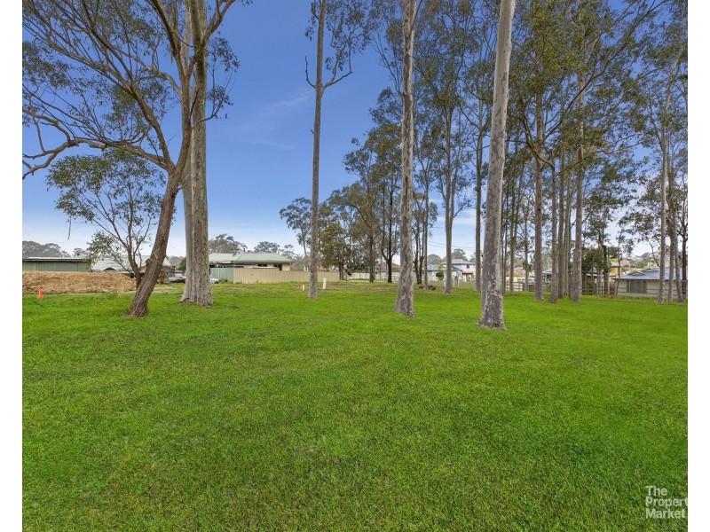 Lot 103 Celestial Drive, Warnervale NSW 2259