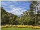 199 Scenic Highway, Terrigal NSW 2260