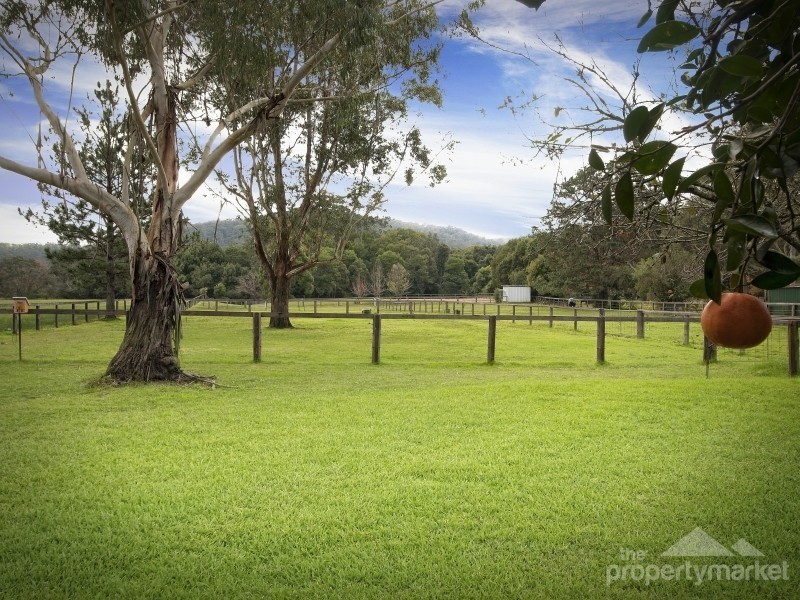 1571 Yarramalong Road, Yarramalong NSW 2259