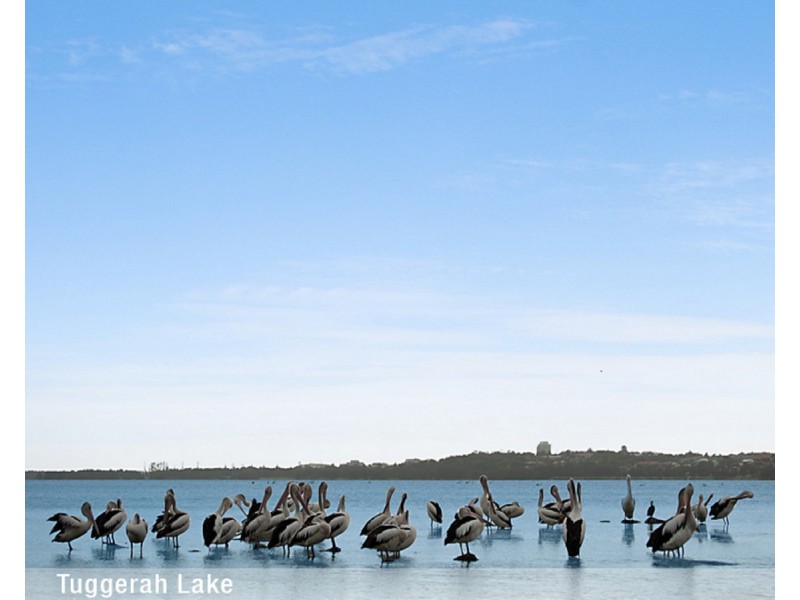 41 Melbourne Road, Wadalba NSW 2259