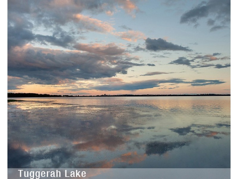 41 Melbourne Road, Wadalba NSW 2259