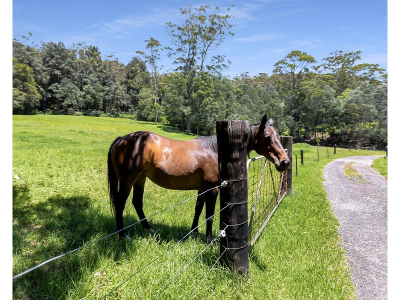 32 Bumbles Creek Road, Ourimbah NSW 2258