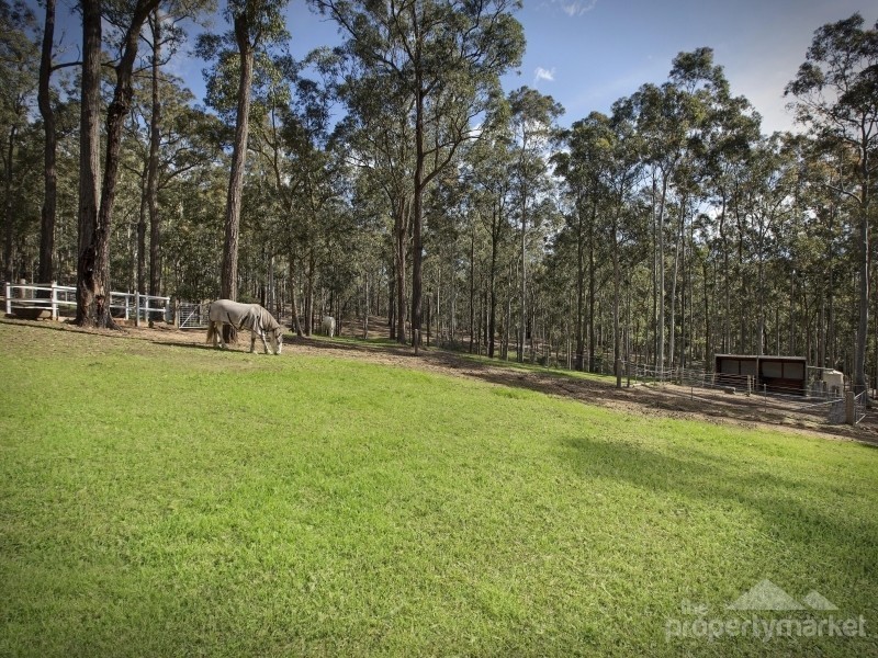 24 Treelands Drive, Jilliby NSW 2259