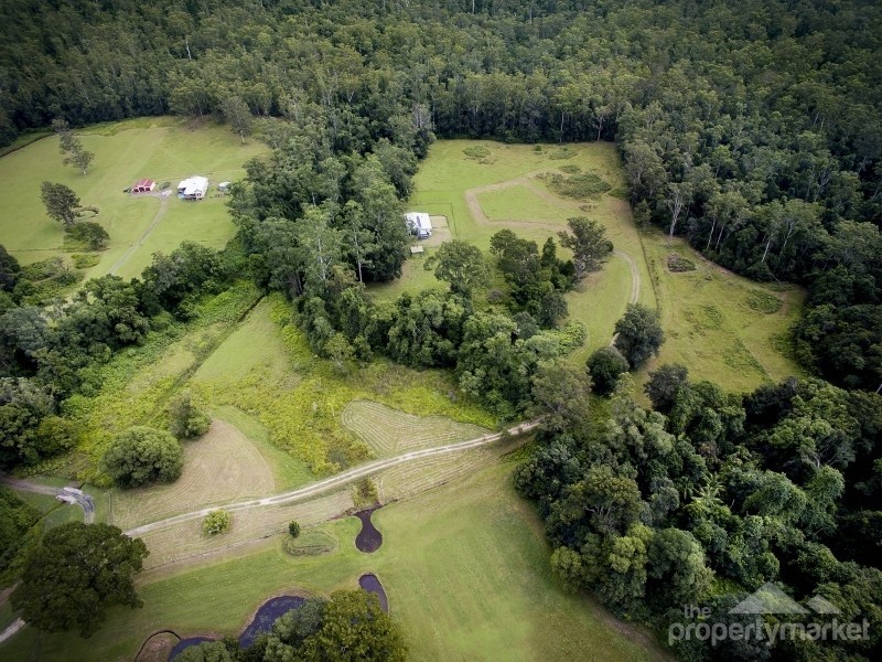 1788 Dooralong Road, Lemon Tree NSW 2259