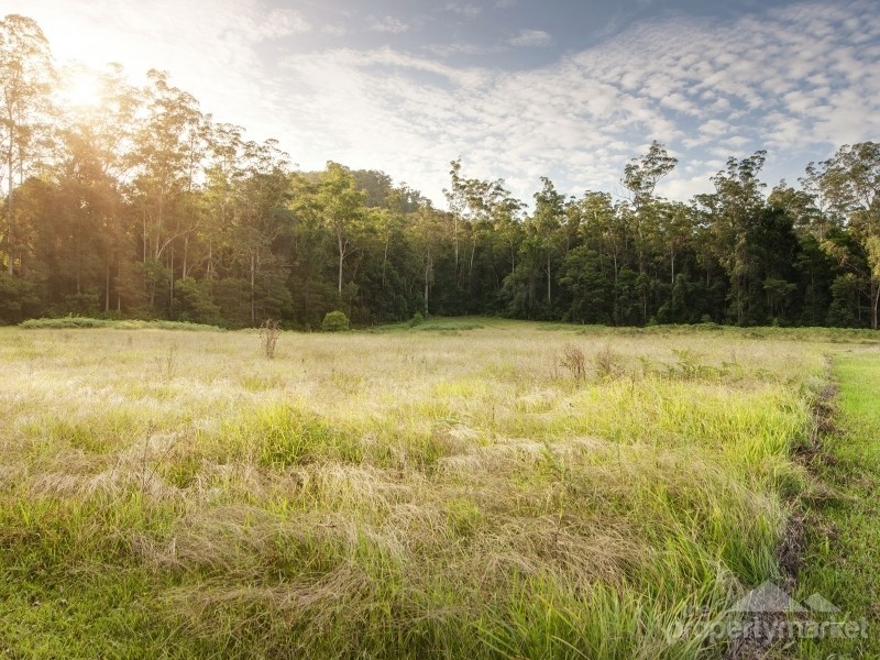 1788 Dooralong Road, Lemon Tree NSW 2259