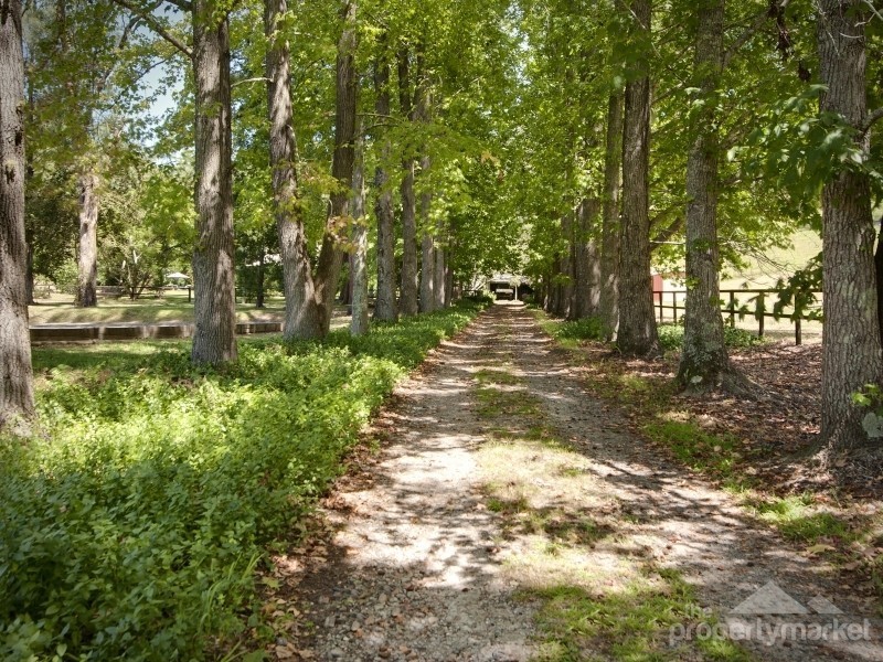 155 Peach Orchard Road, Fountaindale NSW 2258