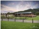 619 Jilliby Road, Jilliby NSW 2259