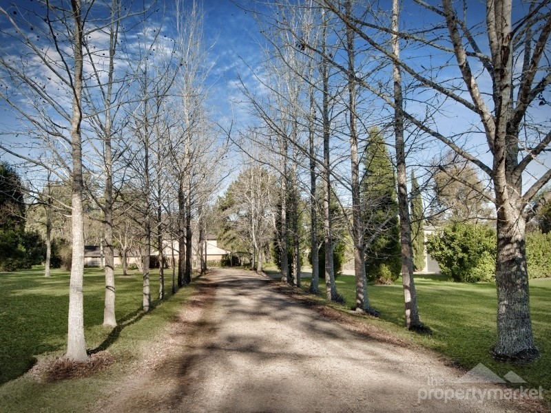 1313 Dooralong Road, Dooralong NSW 2259