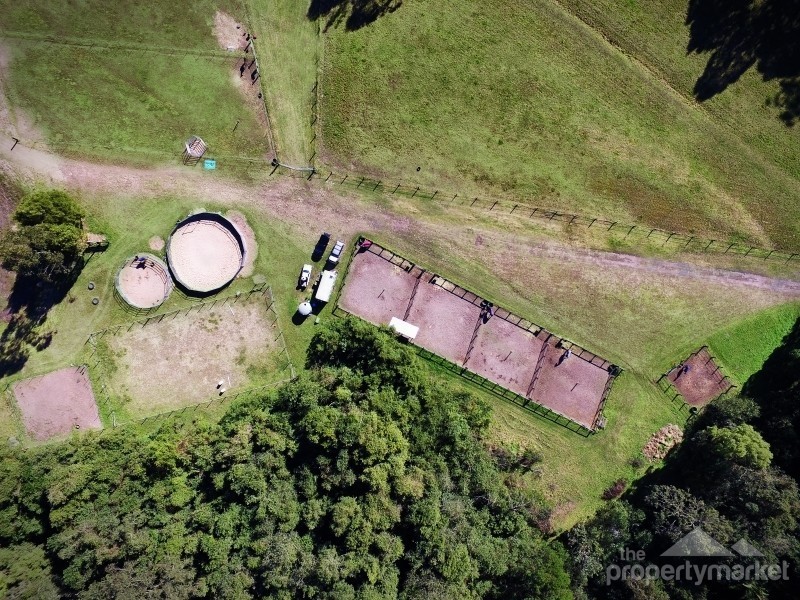 1313 Dooralong Road, Dooralong NSW 2259