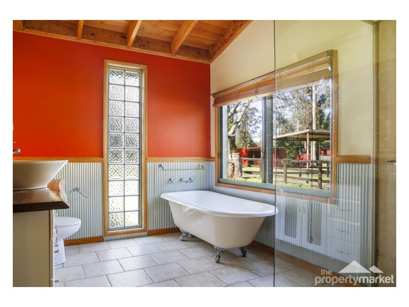 53 Orchard Road, Kangy Angy NSW 2258