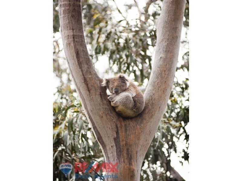 Lot 4 Treetops Estate, Lyndoch SA 5351