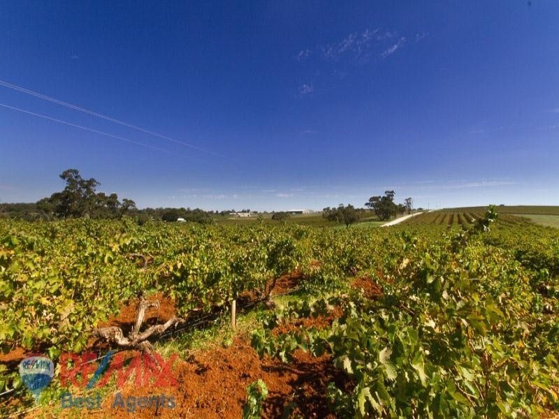 Lot 4 Treetops Estate, Lyndoch SA 5351