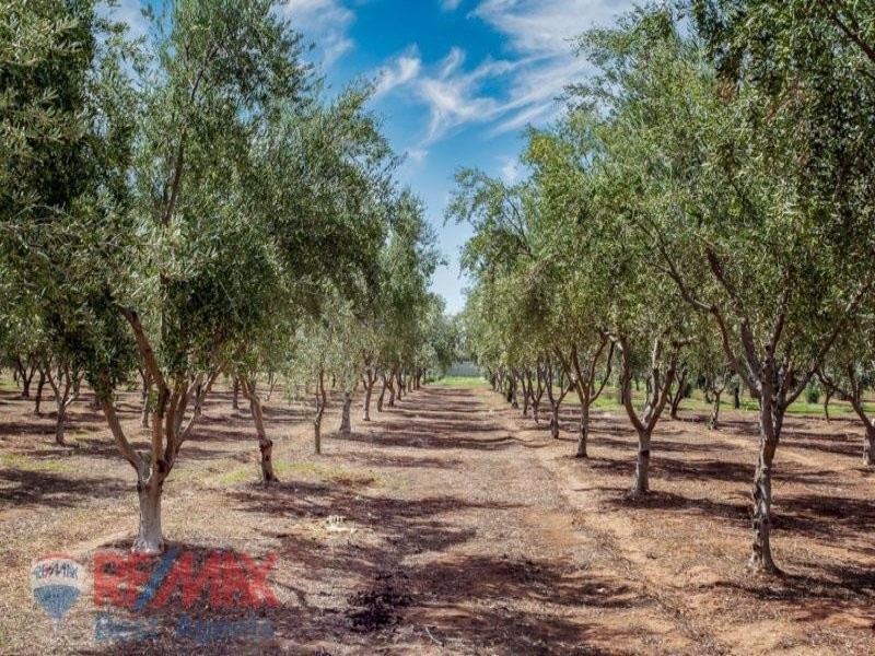 Lot 114 McKay Road, Virginia SA 5120