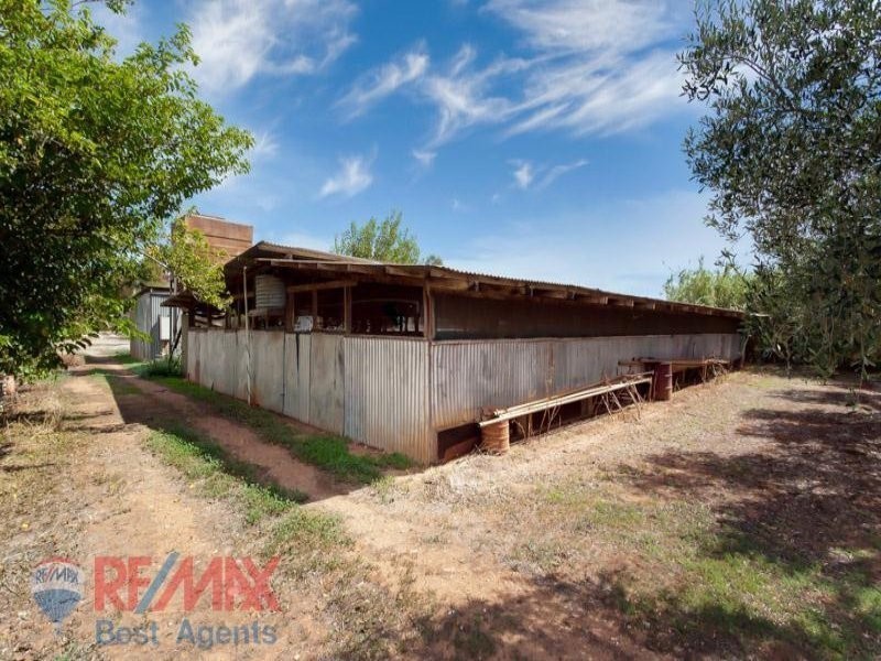 Lot 114 McKay Road, Virginia SA 5120