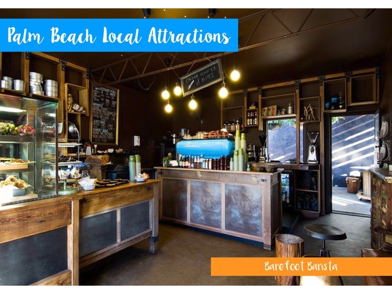 84 Melaleuca Drive, Palm Beach QLD 4221