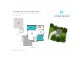 17 Burleigh Glen Court, Burleigh Heads QLD 4220 Floorplan