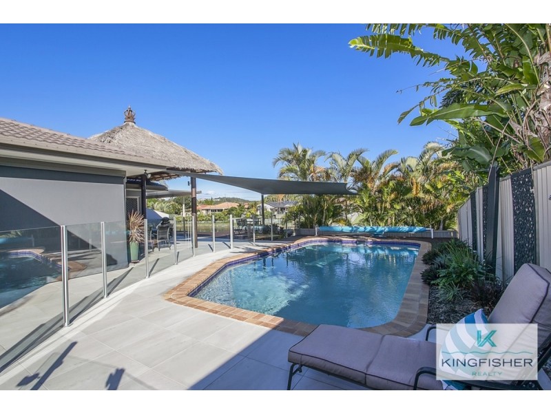 53 Pintail Crescent, Burleigh Waters QLD 4220