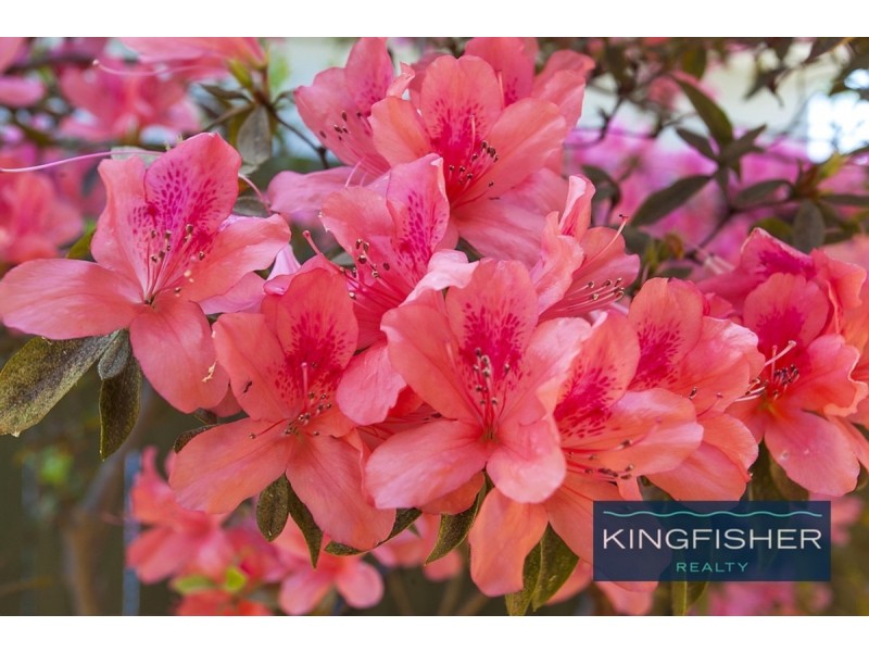 1792 Gold Coast Highway, Burleigh Heads QLD 4220