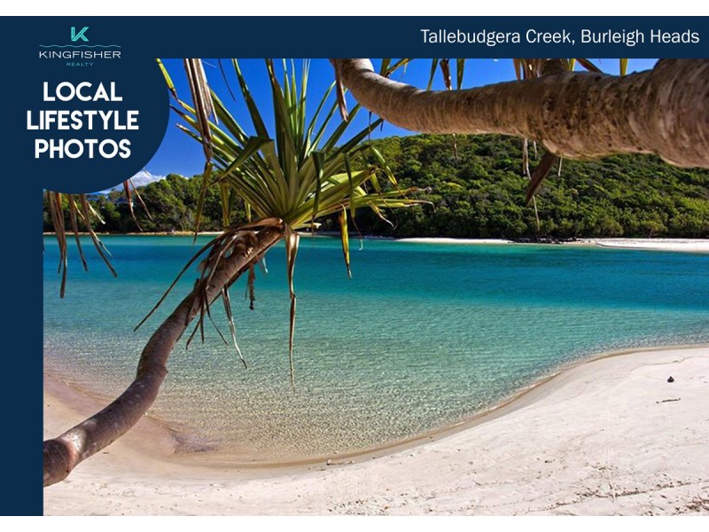 45 Murlong Crescent, Palm Beach QLD 4221