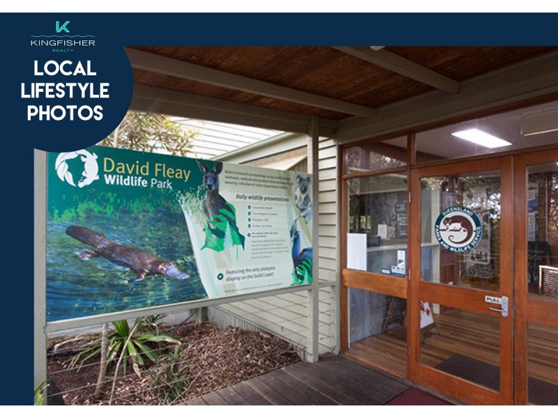 17 Tanjenong Place, Burleigh Heads QLD 4220