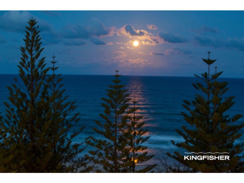 8B/238 The Esplanade, Burleigh Heads QLD 4220
