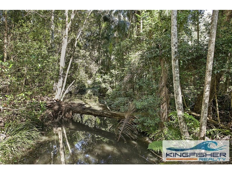 202 Trees Road, Tallebudgera QLD 4228