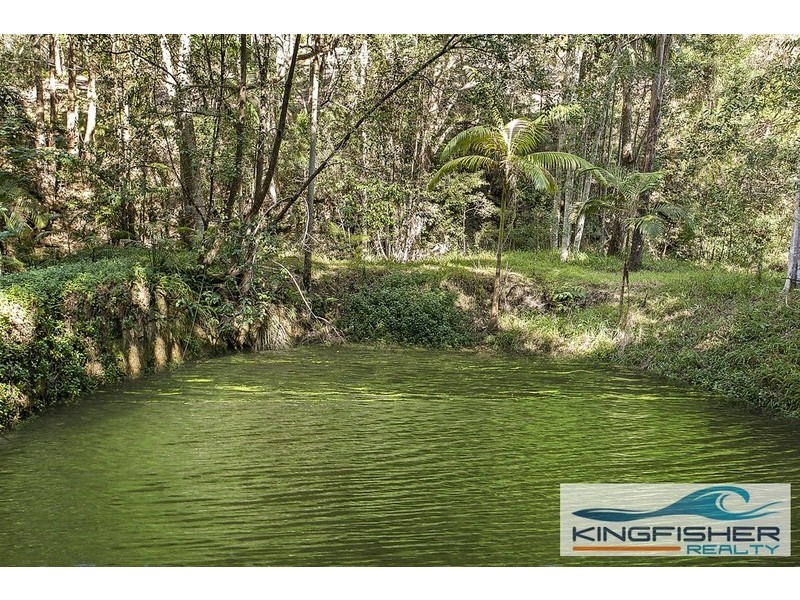 202 Trees Road, Tallebudgera QLD 4228