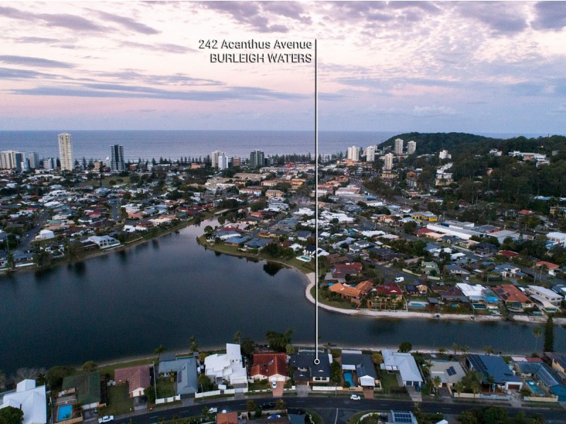 242 Acanthus Avenue, Burleigh Waters QLD 4220