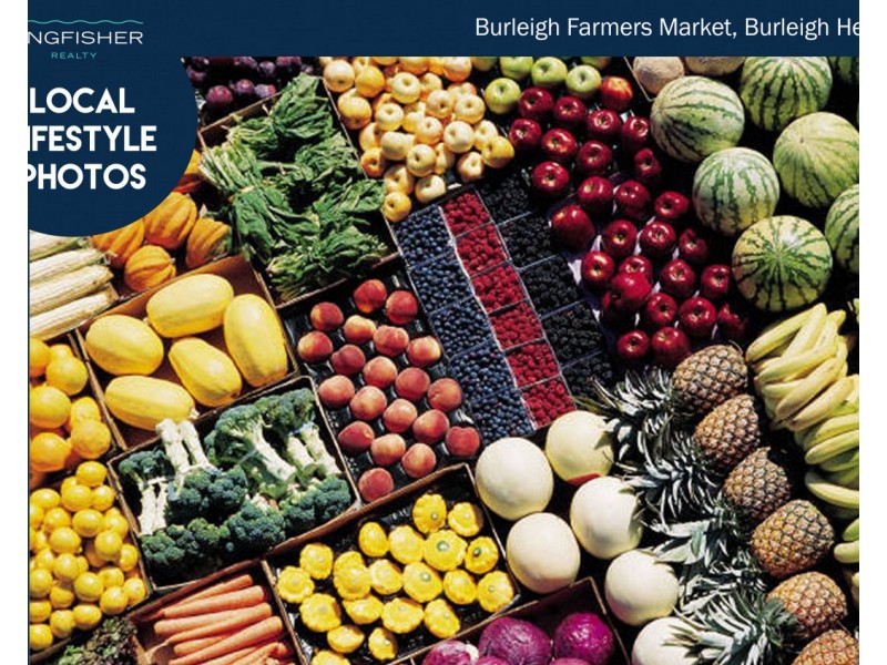 54 Acanthus Avenue, Burleigh Heads QLD 4220