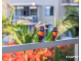 2056/1 Ocean Street, Burleigh Heads QLD 4220