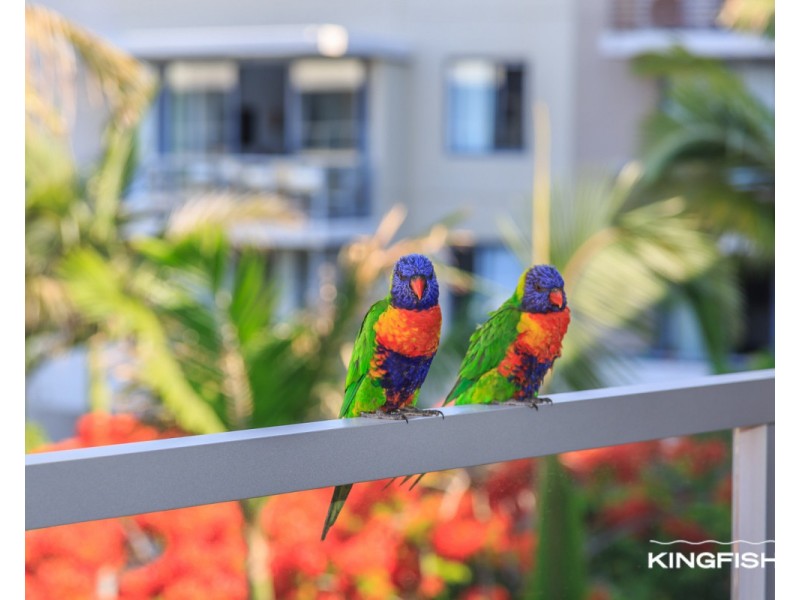 2056/1 Ocean Street, Burleigh Heads QLD 4220