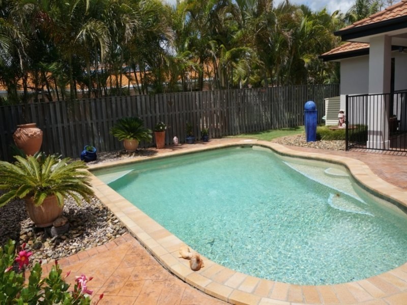 3 Gannet Street, Burleigh Waters QLD 4220