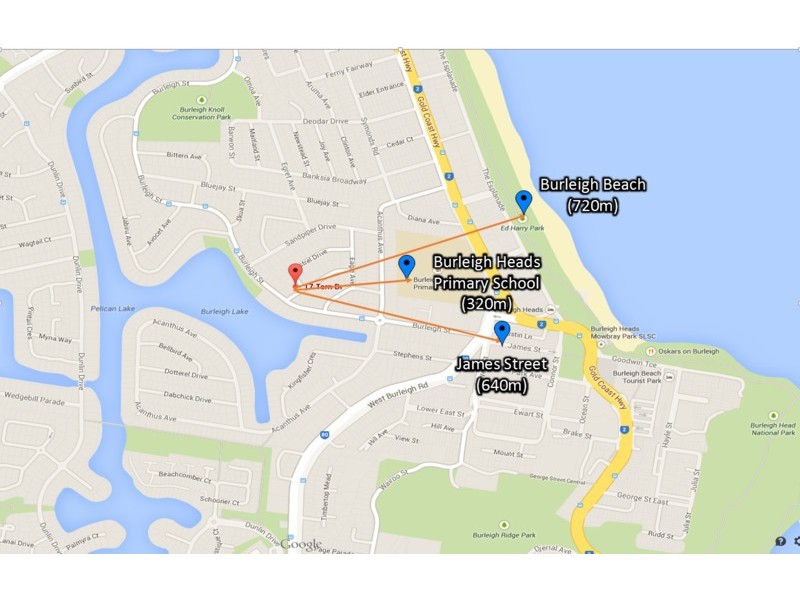 17 Tern Drive, Burleigh Waters QLD 4220