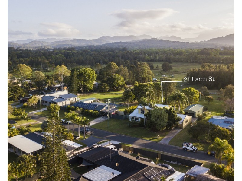 21 Larch Street, Tallebudgera QLD 4228