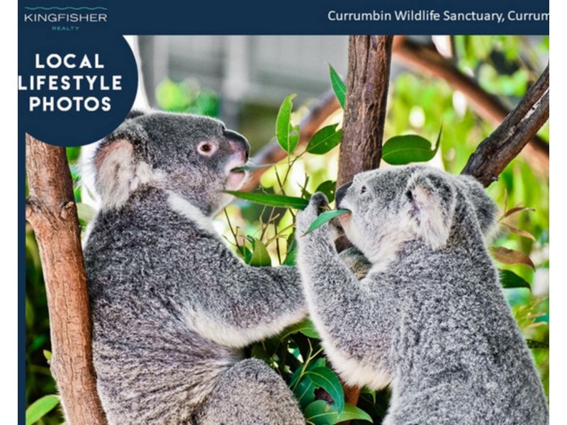 22 Killara Street, Currumbin Waters QLD 4223