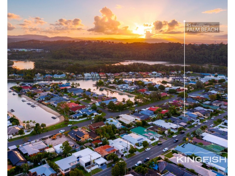 45 Mallawa Drive, Palm Beach QLD 4221