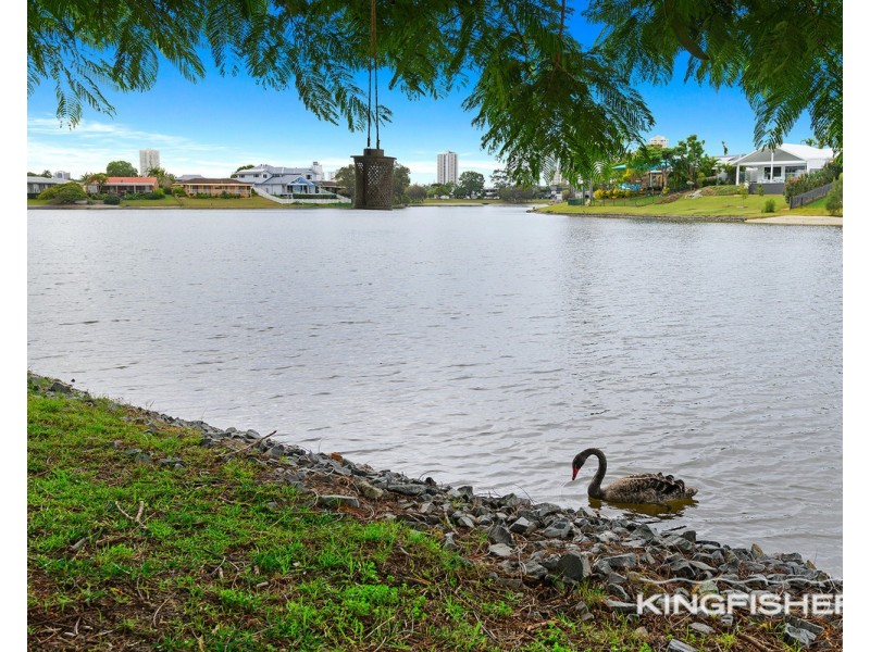 90 Dunlin Drive, Burleigh Waters QLD 4220