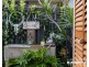 251 Mallawa Drive, Palm Beach QLD 4221