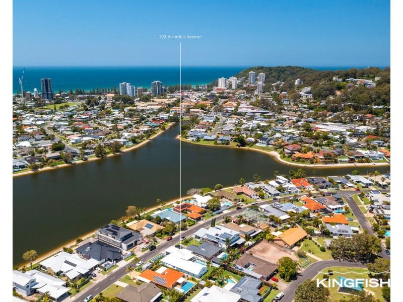 193 Acanthus Avenue, Burleigh Waters QLD 4220