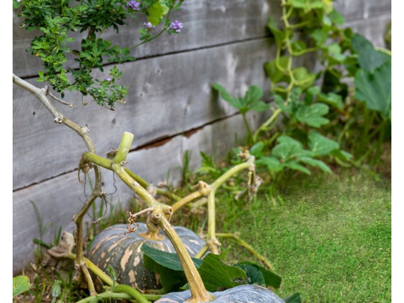 10 Kingfisher Crescent, Burleigh Waters QLD 4220