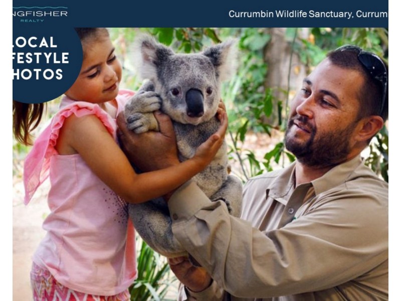 8A Marlin Court, Palm Beach QLD 4221