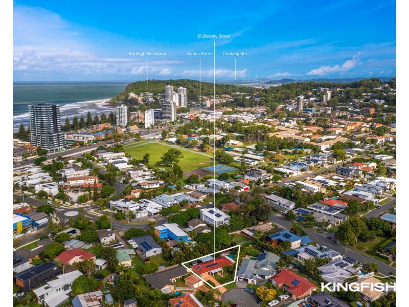 61 Bluejay Street, Burleigh Waters QLD 4220